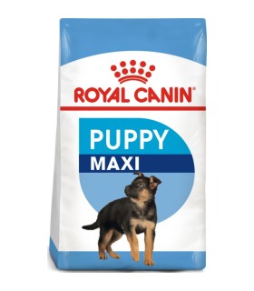 Royal Canin Maxi Puppy - Karma Sucha dla Szczęniąt, Rasy Duże 1kg