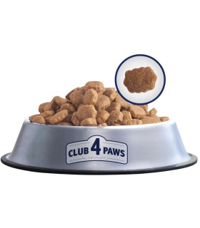 CLUB 4 PAWS SUCHA karma dla dorosłych psów DUŻE RASY 20kg | Zoo24.pl