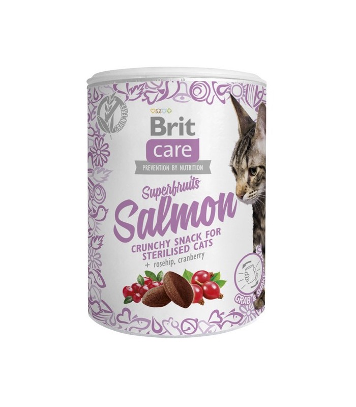 Brit Care Cat Przysmak Superfruits Salmon ŁOSOŚ 100g