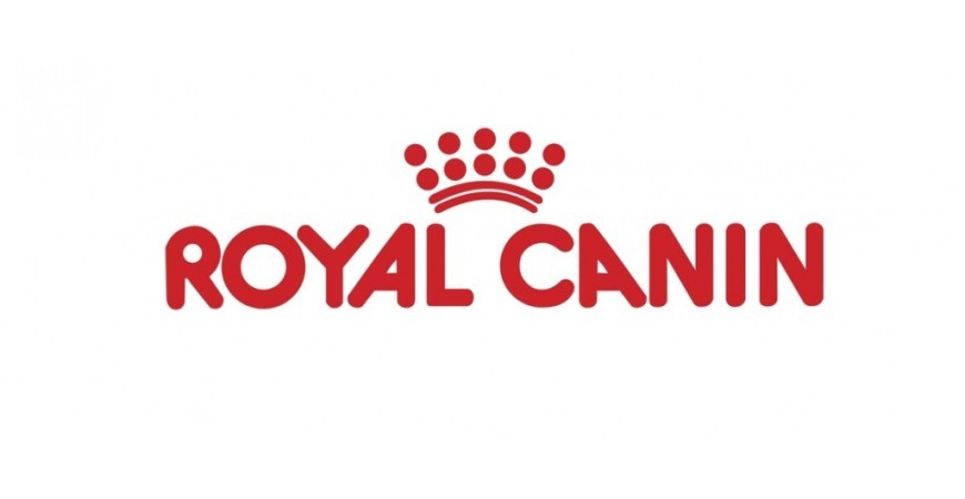 Nowości w zoo24.pl - witamy markę Royal Canin